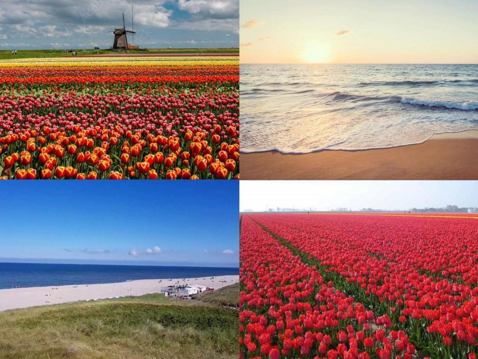 Wijde Blick Callantsoog Kültér fotó
